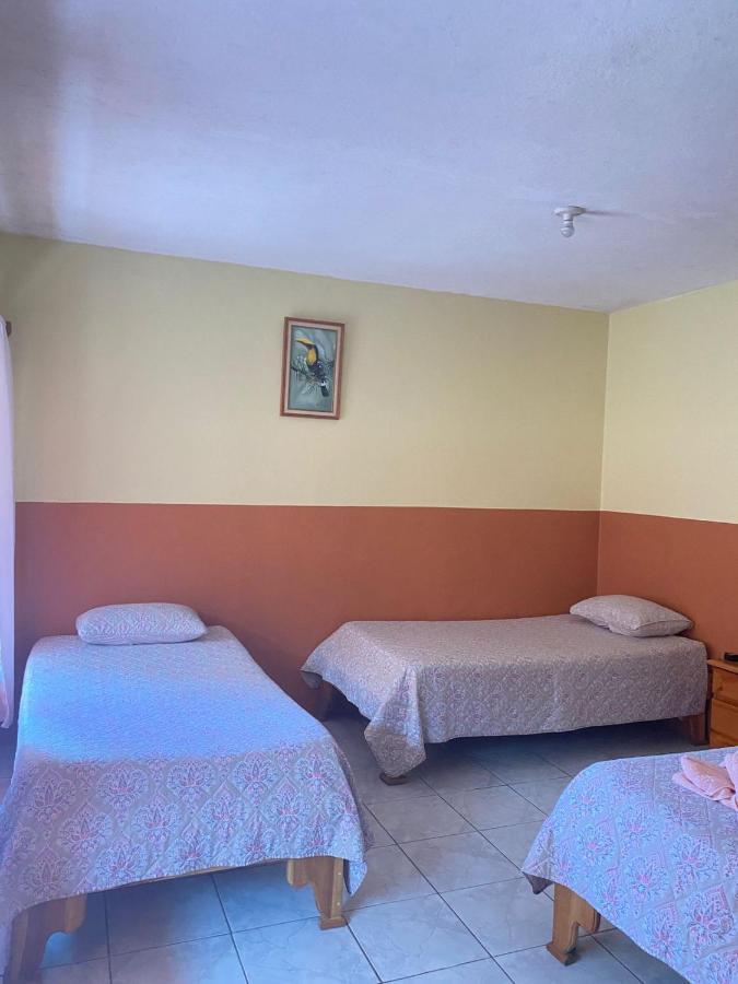 Hotel La Puesta Del Sol B&B Monteverde Ngoại thất bức ảnh