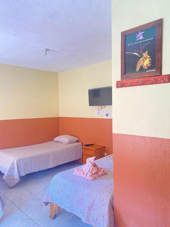 Hotel La Puesta Del Sol B&B Monteverde Ngoại thất bức ảnh