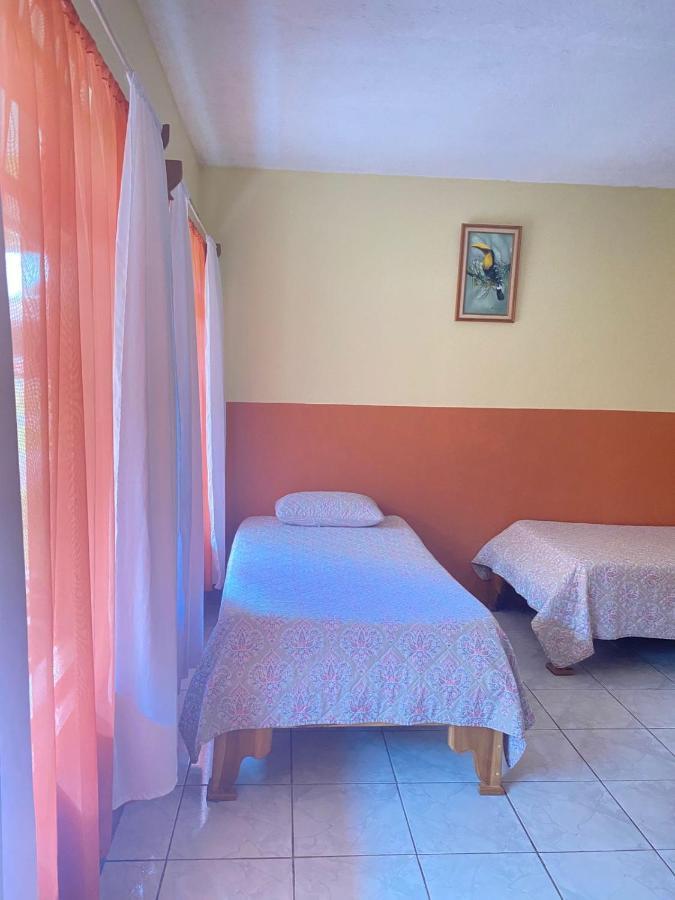 Hotel La Puesta Del Sol B&B Monteverde Ngoại thất bức ảnh