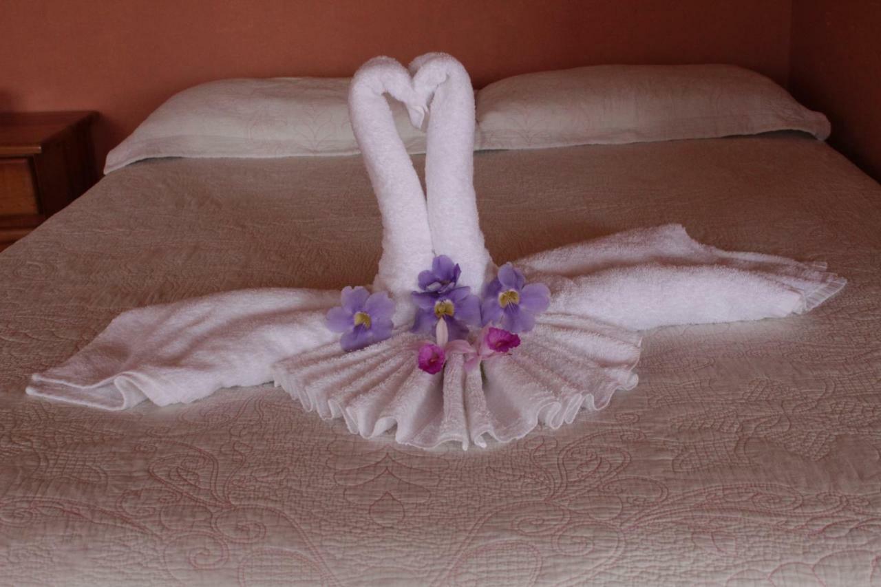 Hotel La Puesta Del Sol B&B Monteverde Ngoại thất bức ảnh